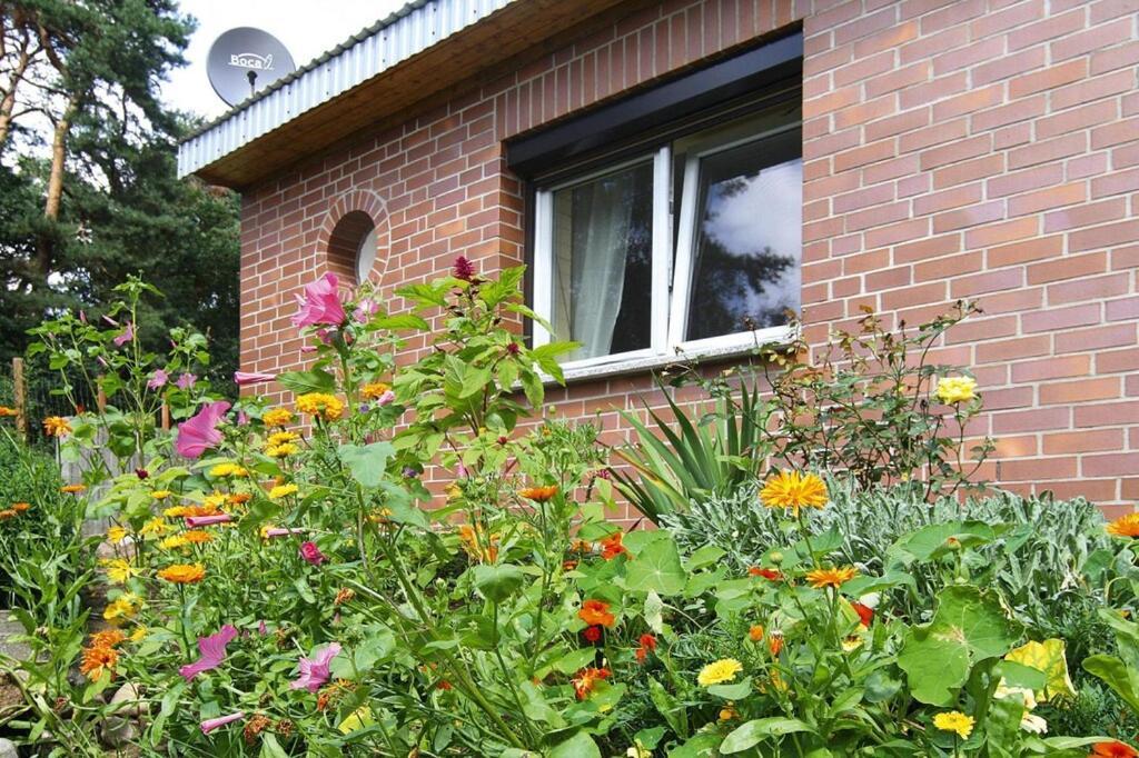 Ferienhaus, Feldberger Seenlandschaft Villa Esterno foto